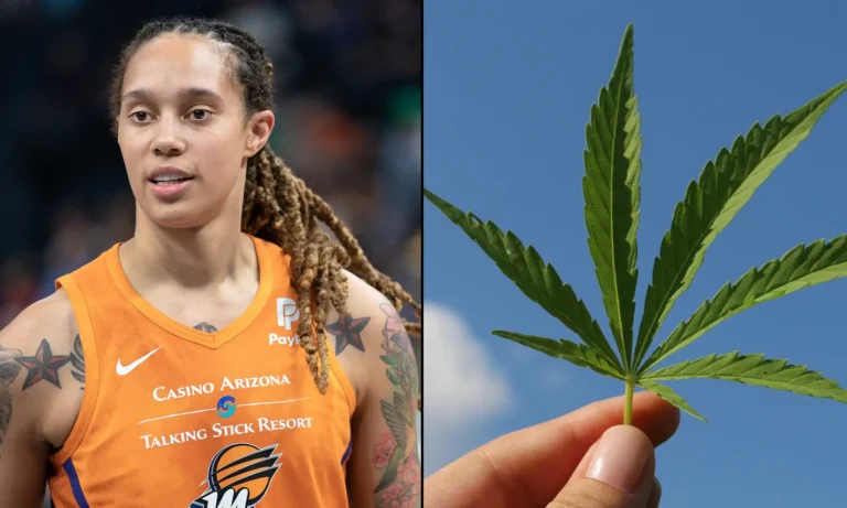 All 50 States Should Legalize The ‘Booming Business’ Of Marijuana, Brittney Griner Says All 50 States Should Legalize The 'Booming Business' Of Marijuana, Brittney Griner Says