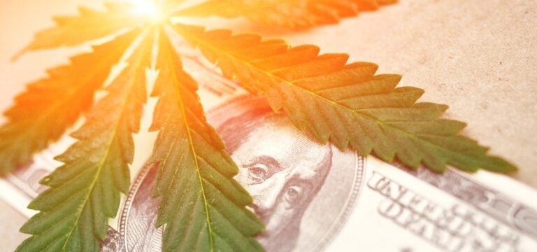 Aurora Rejects Curaleaf’s Revised Hostile Takeover Bid Aurora Rejects Curaleaf's Revised Hostile Takeover Bid