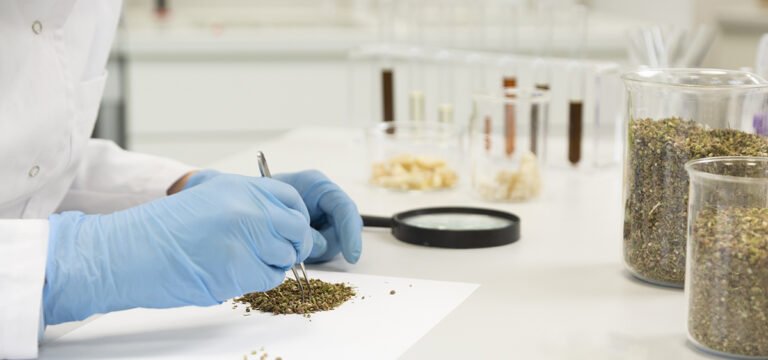Colorado Auditor Identifies Cannabis Product Testing Shortfalls