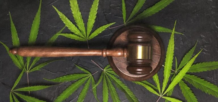 DEA Judge Puts Federal Cannabis Rescheduling Process on Pause