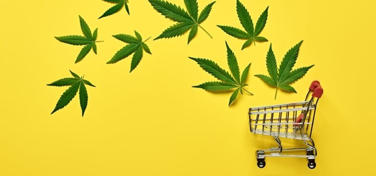 New York Passes $4.1B In Adult-Use Cannabis Sales New York Passes $4.1B In Adult-Use Cannabis Sales