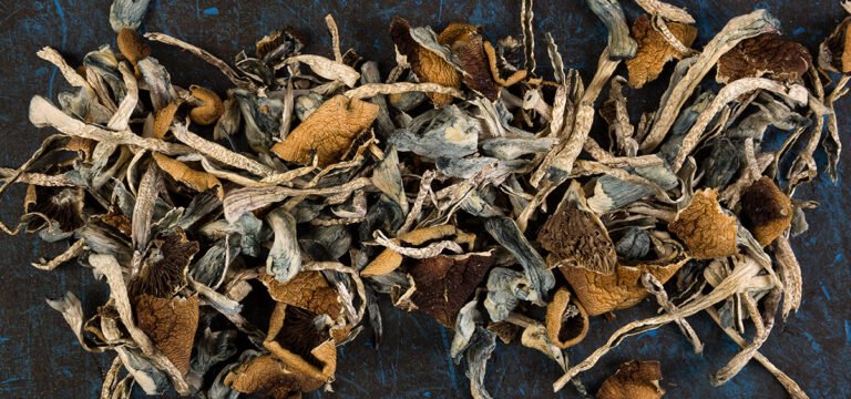 Secret Shoppers Study Finds Oregon Psilocybin Centers Highly Compliant Secret Shoppers Study Finds Oregon Psilocybin Centers Highly Compliant