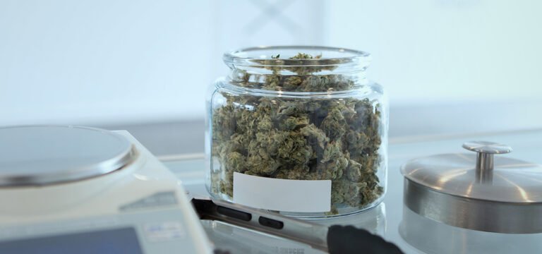 Study: 100% of Cannabis Consumers Say QR-Coded Products Make Them Feel More Protected By Regulators