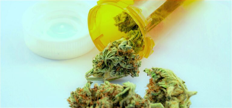 Study: Medical Cannabis Effective Against Anxiety and Depression for Autism Patients Study: Medical Cannabis Effective Against Anxiety and Depression for Autism Patients