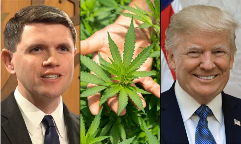 Talarico Wants To Partner With Trump On Legalizing Marijuana If He Wins Texas Senate Race