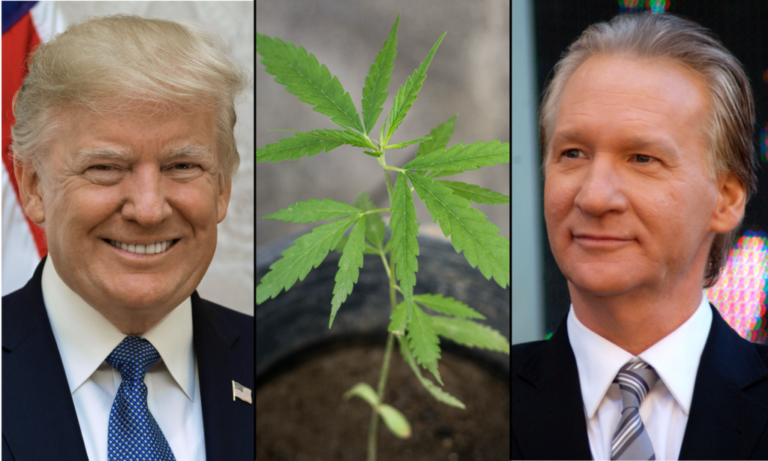 Trump Says Marijuana Is ‘Very Bad’ For Bill Maher’s Health, Criticizing Him For Being A ‘Major Pothead’ Trump Says Marijuana Is 'Very Bad' For Bill Maher's Health, Criticizing Him For Being A 'Major Pothead'